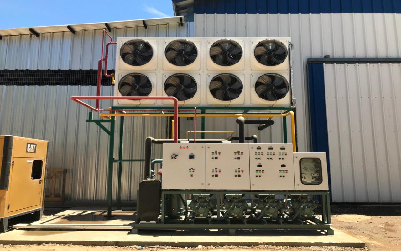 WhatsApp Image 2021-04-01 at 14.12.32 (1)_1280x800